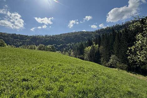 Дом Немшки Ровт: 8