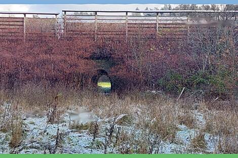 Ферма Накло, участок.: 11