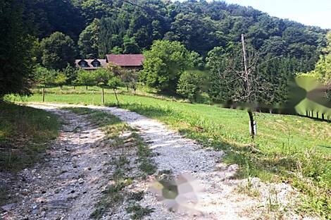 Дом, земля Нарапле: 4