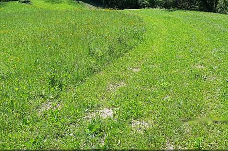 Дом, ферма Орехи в Безельском.: 26