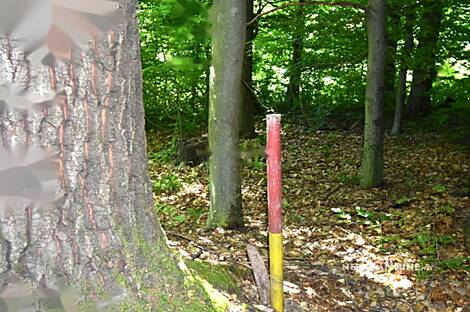 Горная Вершина, Планина при Севници, усадьба: 24