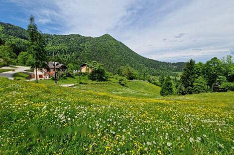 Дом, хозяйство Подкрай возле Межицы, Межица: 3