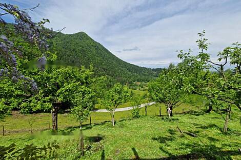 Дом, хозяйство Подкрай возле Межицы, Межица: 11