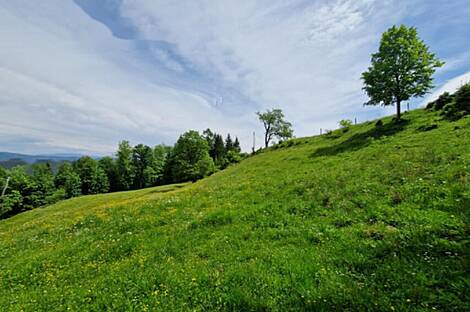 Дом, хозяйство Подкрай возле Межицы, Межица: 15