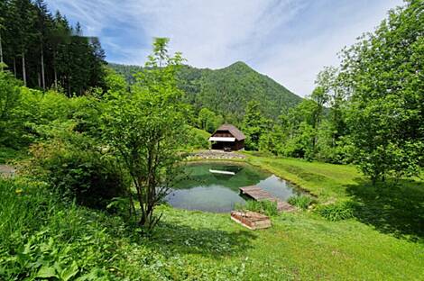 Дом, хозяйство Подкрай возле Межицы, Межица: 18