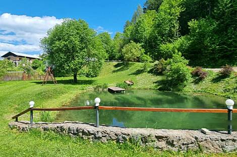 Дом, хозяйство Подкрай возле Межицы, Межица: 22