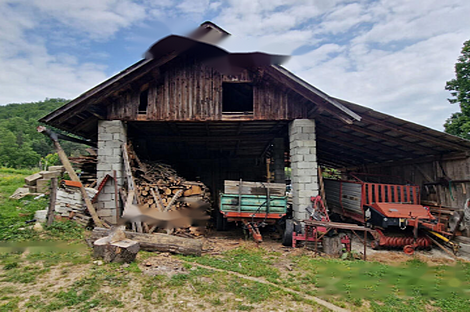 Мыза, хутор Подсреда, Козье.: 7