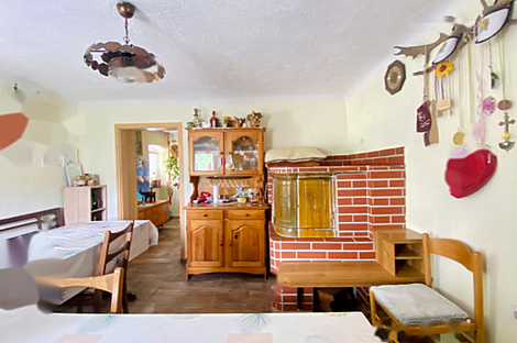 Мыза, хутор Подсреда, Козье.: 12