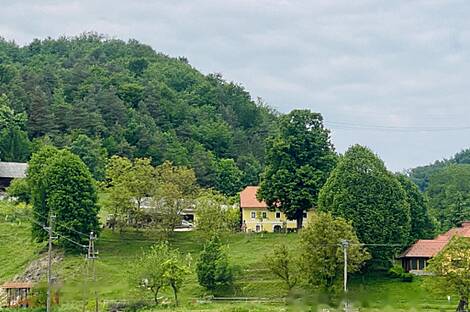 Мыза, хутор Подсреда, Козье.: 23