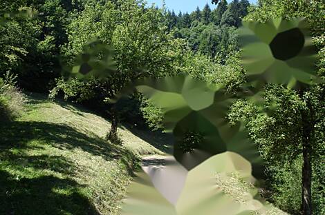 Дом, ферма Пребольд.: 5