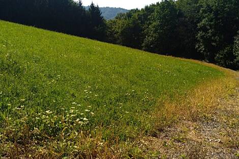 Дом, хозяйство Преша.: 5