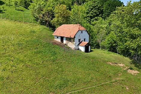 Особняк Верхняя Лесковец, Велика Варница.: 5