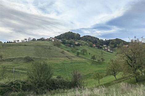 Дом, ферма Златече: 8