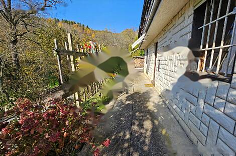 Дом, ферма Рошпох - фрагмент.: 28