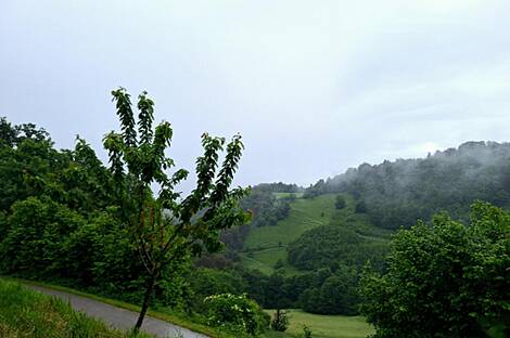 Дом, хозяйство Рудна Вас, Радече: 6