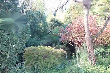 Дом Нижняя Воличина: 18