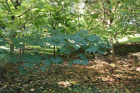 Дом Нижняя Воличина: 22