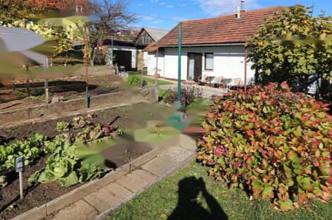 Дом, Бенедикт: 26