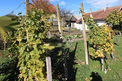 Дом, Бенедикт: 27