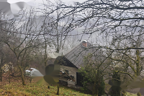 Дом, Чемшеник, Ржишче: 1