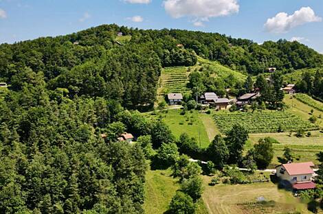 Жилище, Мали Чирник возле Шентьяня: 4