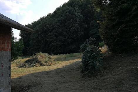 Дом в Кошаровцах, район Горичко: 6