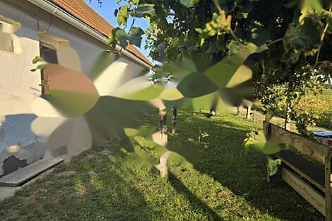 Миховци: террасный дом: 1