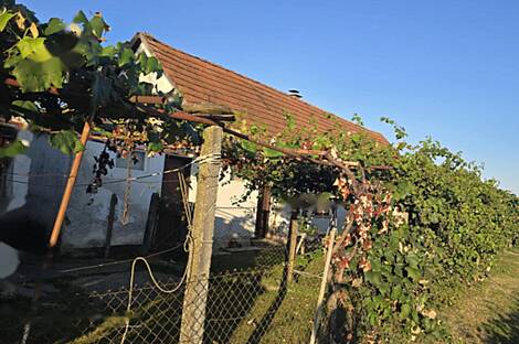 Миховци: террасный дом: 2