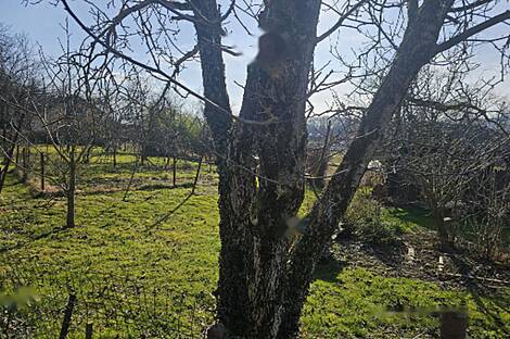 Дом на месте Сёл около Добови: 6