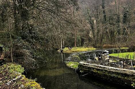 Врхпеч Дом: 3