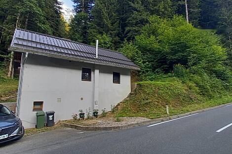 Дом в Нижней Орлице: 1