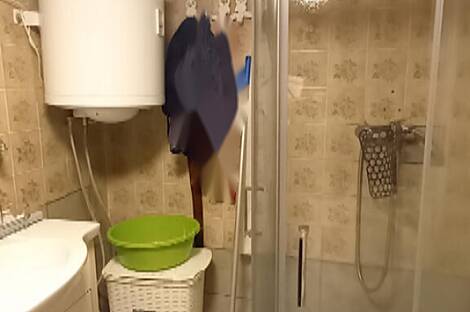 Дом в Нижней Орлице: 8