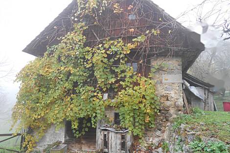 Оталеж, дом: 11