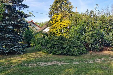 Дом, Доманижевские ребята: 2