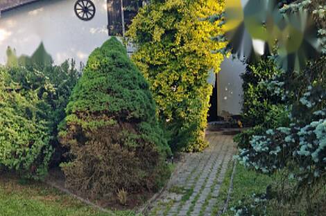 Дом, Доманижевские ребята: 4