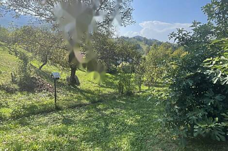 Жилище в Забуковице: 7