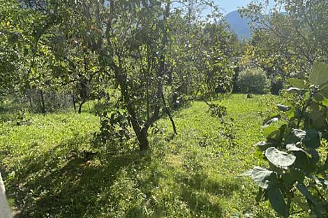 Жилище в Забуковице: 8