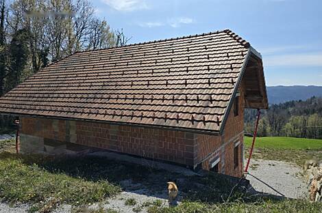 Дом, Окролице: 6