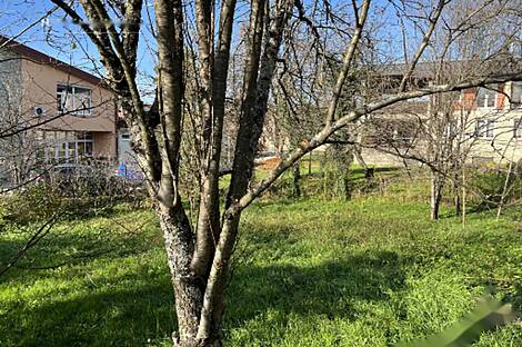 Здание, Виница: 14