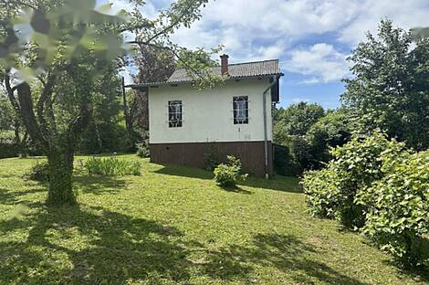 Родни Верх дом: 11