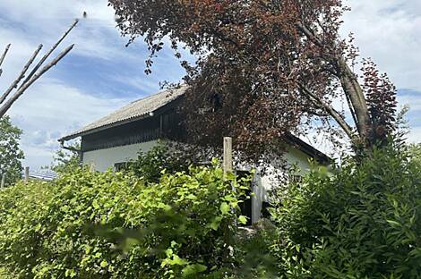 Родни Верх дом: 15