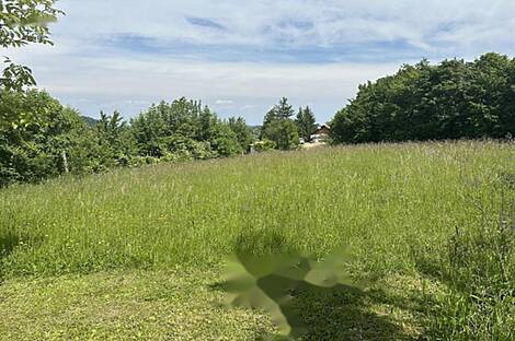 Родни Верх дом: 16