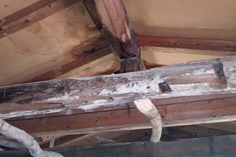 Дом, Лига, Документы: 14