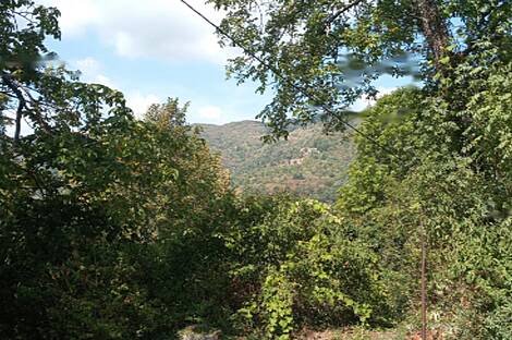 Дом, Лига, Документы: 15