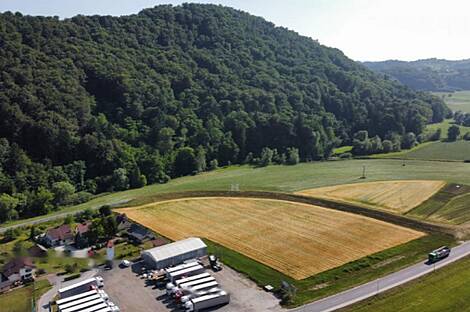 Збелово дом: 8