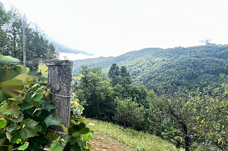 Здание на горе Бруншка: 7