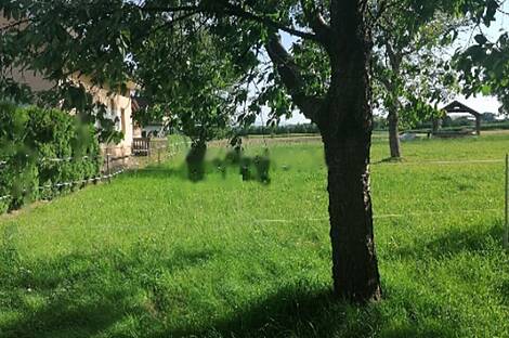 Жилище в Средишче-об-Драви: 5