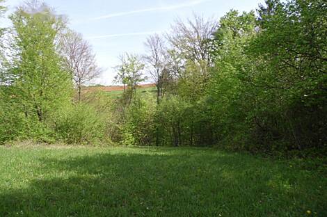 Церов Лог - это дом.: 8