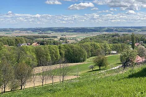 Дом, Дестрник, район Птуй.: 2