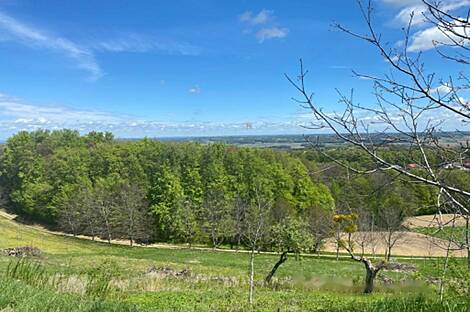 Дом, Дестрник, район Птуй.: 3